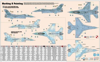 Mistercraft 1:72 D-116 F-16CJ-52+Jastrzab/Hawk