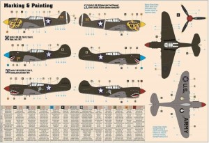 Mistercraft 1:72 D-202 P-40E Aleutian Tiger